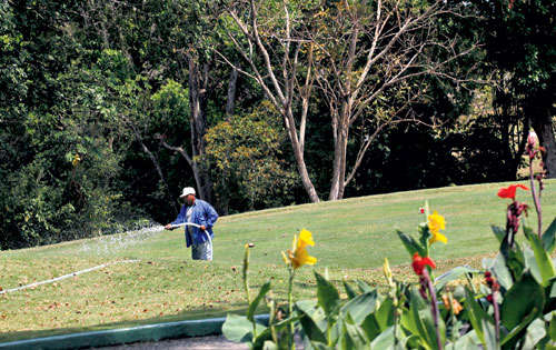 <p>Riego. El mantenimiento de la cancha es diario.</p>