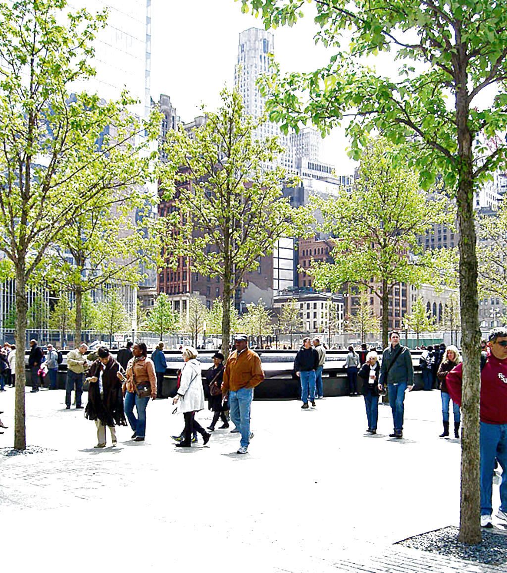 Roble. Unos 400 árboles se sembraron en la plaza. (Nightscream/ wikimedia Commons.)