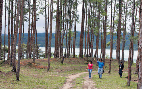 <p>La Yeguada es una reserva forestal y es custodiada por ANAM.</p>