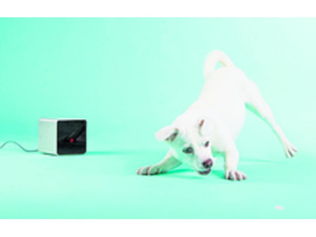 Incorpora una cámara grande angular capaz de transmitir videos en alta definición a través de streaming, para que veamos lo que hace nuestro animal en casa, estemos donde estemos.