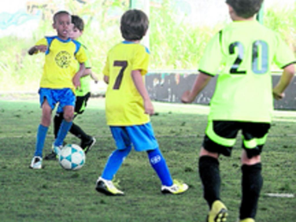 Poseen juego vertical.(Alberto Ortega)