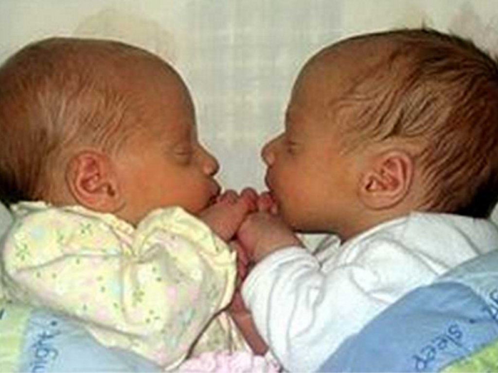 Gemelos<b> </b>Sofía y Roberto. Foto: (captura de pantalla) de internet.<b><br></b>