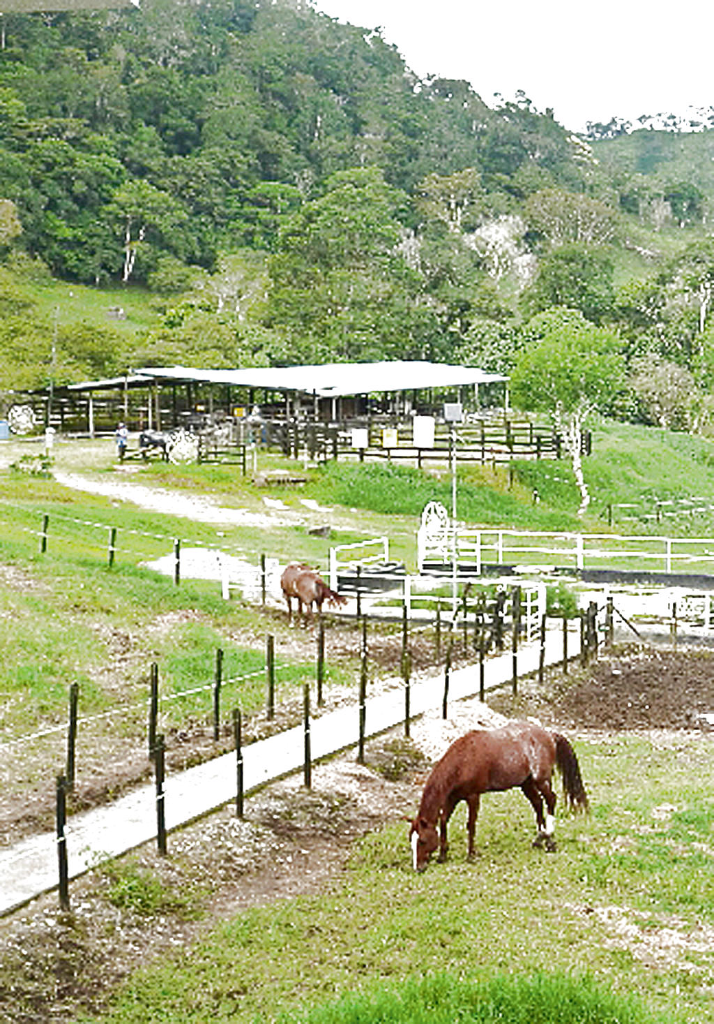 Granjas. Autosostenibles en tierras altas(CotesÃa.)