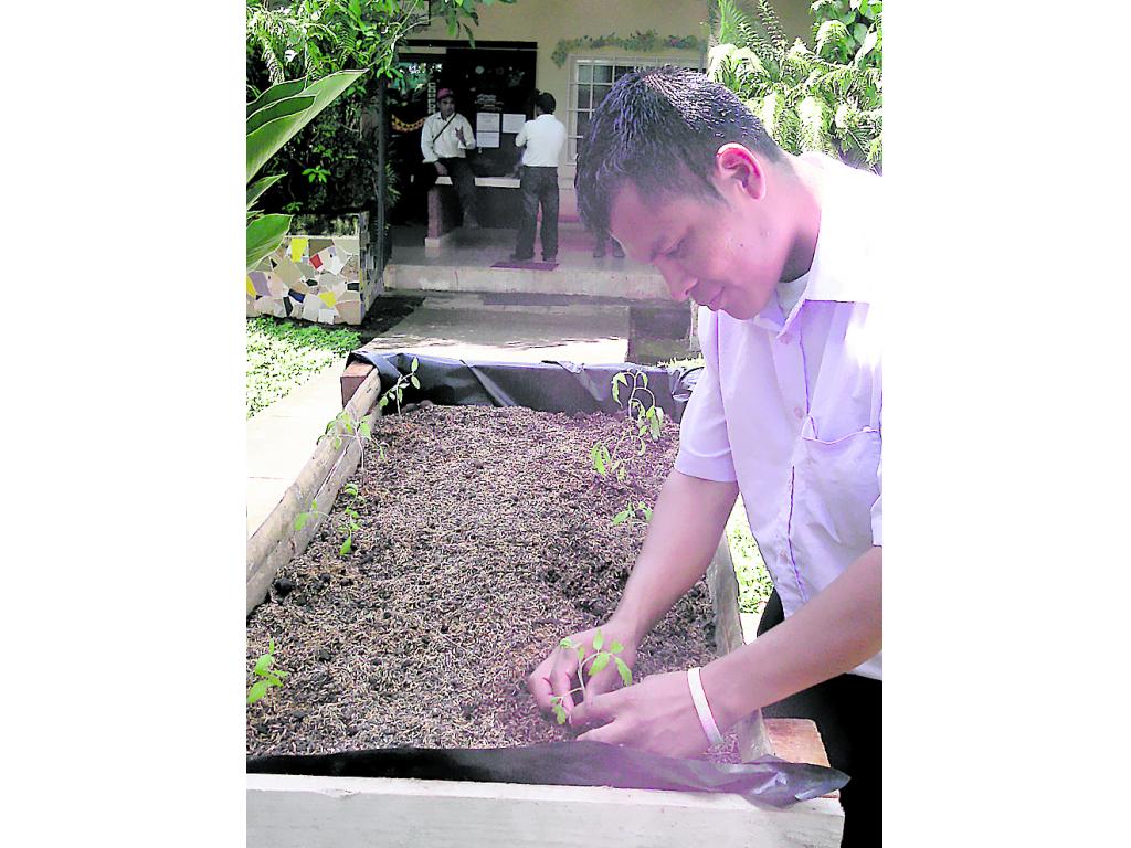 Cultivo. El cuidado de las plantas es importante.(MIGUEL CONTRERAS)