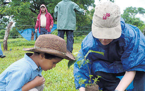 <p>Reforestación. Es necesaria la siembra de plantones.</p>