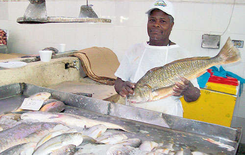 <p>Diversidad. Les llama la atención la variedad de pescados.</p>