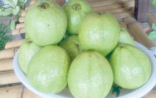 <p>Demanda. Se utiliza en la industria de jugos.</p>