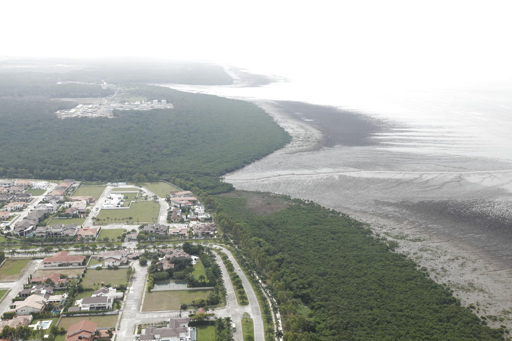 En la zona de la Bahía de Panamá es donde se localiza el ecosistema costero-marino biológicamente más productivo con que cuenta la nación. Foto/Noriel Gutierrez<br>