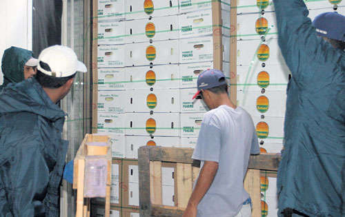 <p>Mercado. Ambos países podrán ampliar sus mercados.</p>