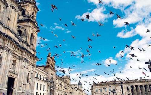 <p>Ciudades. Susurran la historia pasada y miran al futuro.</p>