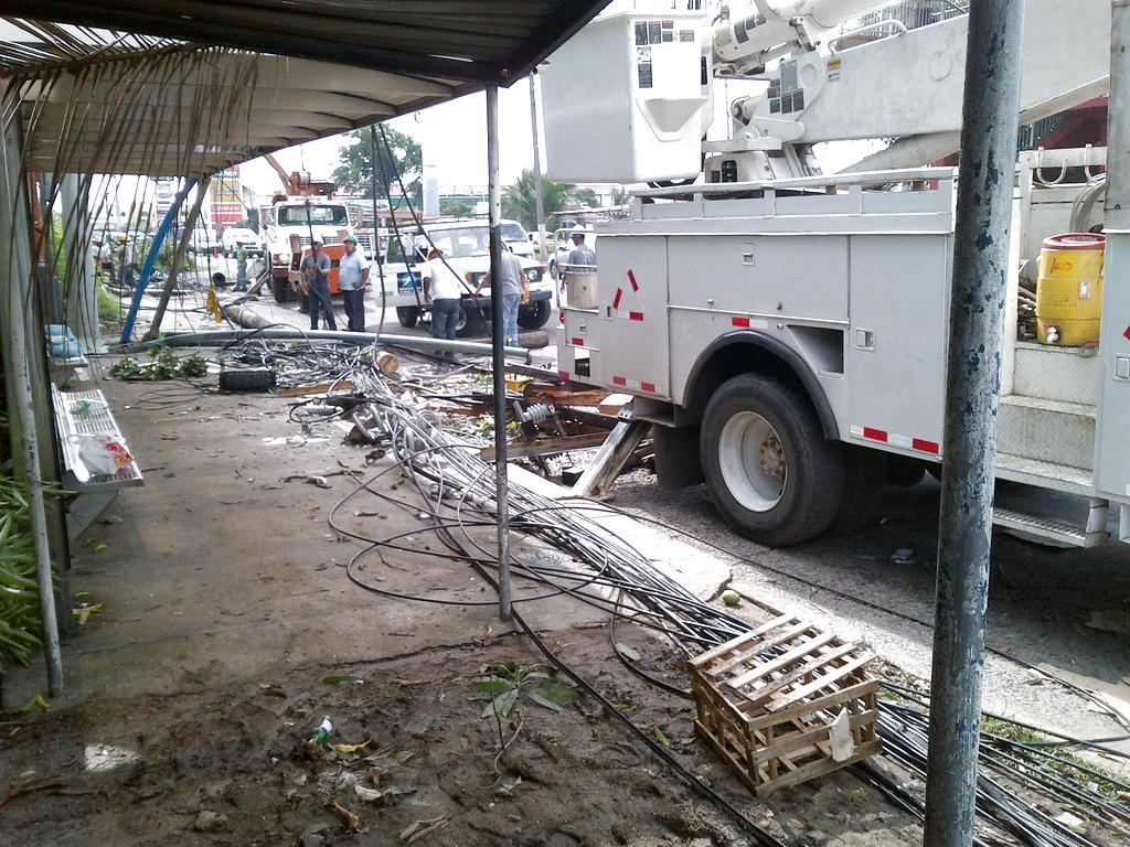 Afectaciones en Villa Lorena luego que 7 árboles se cayeran la tarde de ayer, domingo 25 de junio. Foto: Jesús Simmons.<br>