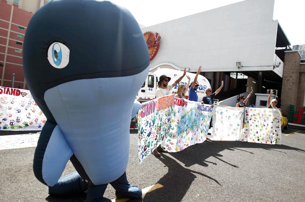 Un grupo de personas protesta hoy, lunes 2 de julio, en Panamá, para pedir la creación de un santuario para las ballenas en el Atlántico Sur. EFE/Alejandro Bolívar