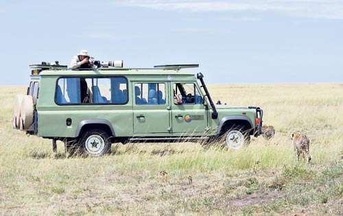 <p>Encuentro. La Reserva Natural Masai Mara en Kenia (conocida también como El Mara) es una conocida opción.</p>