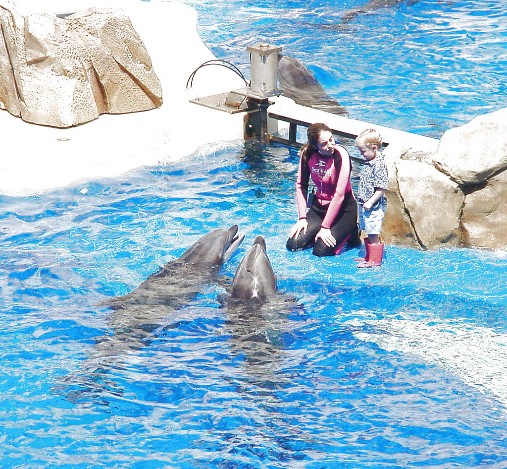 Orlando. Sea World es un parque dedicado al mundo marino.(Wikimedia commons)