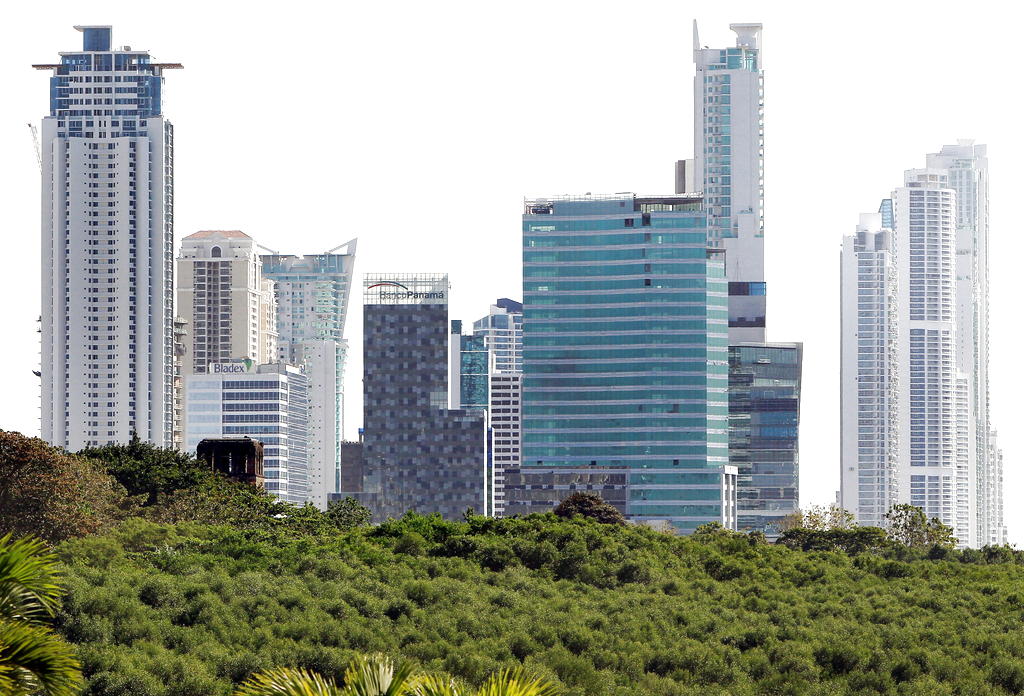 En Panamá hoy se celebra el día de los humedales. EFE<br>