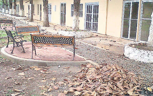 <p>Basura. La zona está sucia y descuidada.</p>