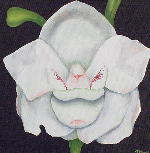 <p>Otra linda pintura suya.</p>
