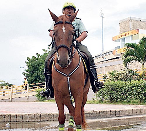 <p>Seguridad a caballo.</p>