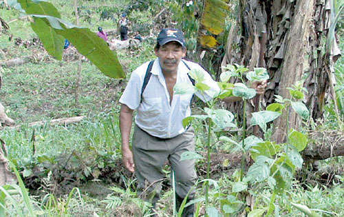 <p>Actividad. Se dedican a la agricultura y a la ganadería.</p>