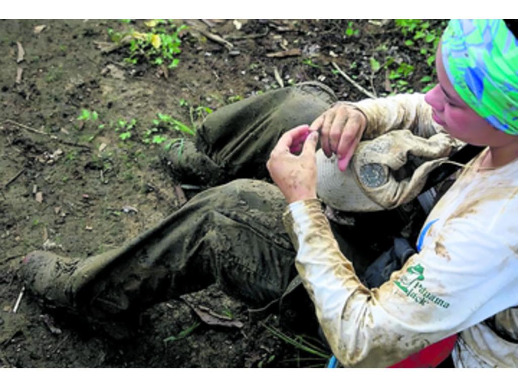 Darién, tierra de árboles milenarios que son testigos de la historia.