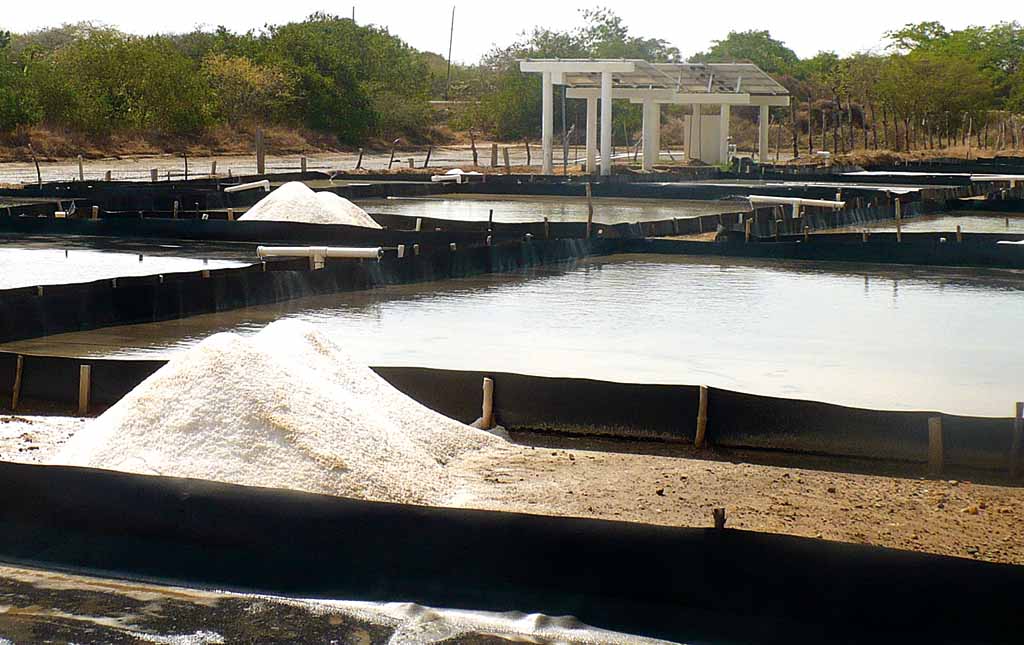 <p>Producción. Efectos negativos en la zafra del 2012.</p>