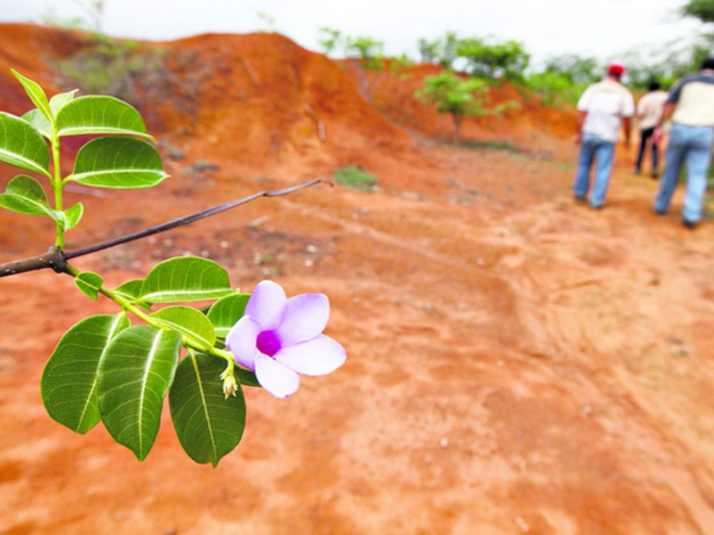 La vegetación está repoblando gran parte de la visitada zona.