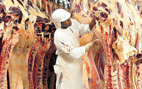<p>Manejo. El sacrificio atrae a más empresas locales.</p>