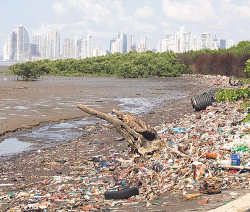 <p>Contaminación. La basura abunda en las playas.</p>