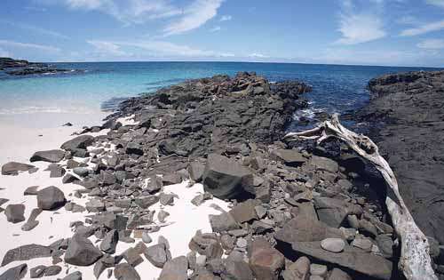 <p>Refugio. Isla Iguana es considerada centro de vida silvestre, pues alberga varios ecosistemas. </p>