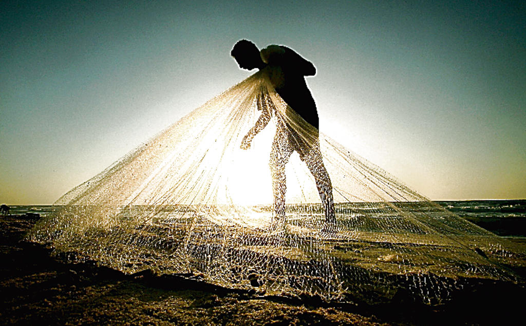 Bajo. Reciben 10 centavos por cada libra de pescado. ()