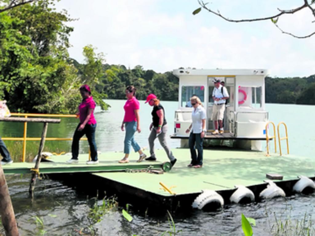 Conoce la vegetación canalera en el Lago Gatún en Colón.(Alcides Rodríguez)
