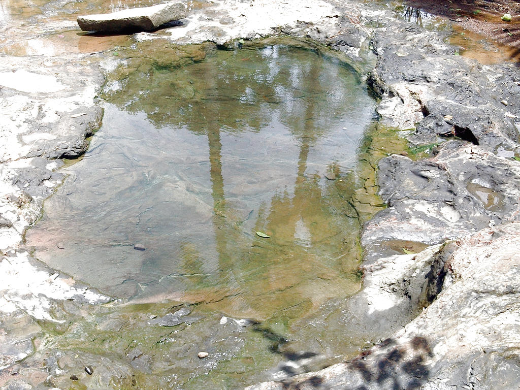Naturaleza. El agua es considerada como saludable.()