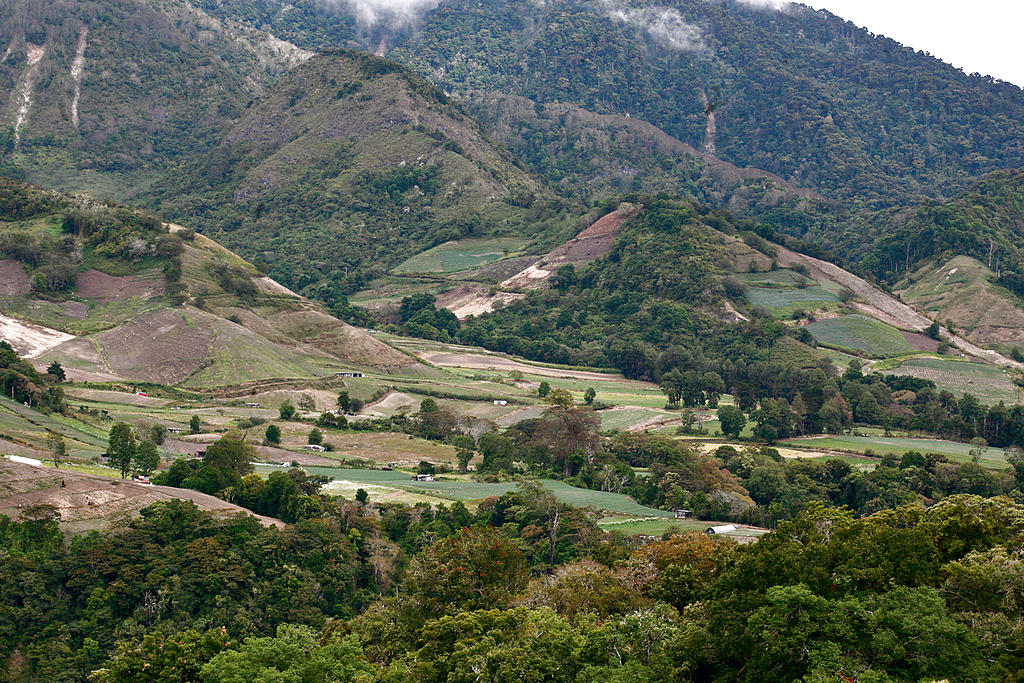 Terrenos. Campos de producción de la empresa.(Archivo)
