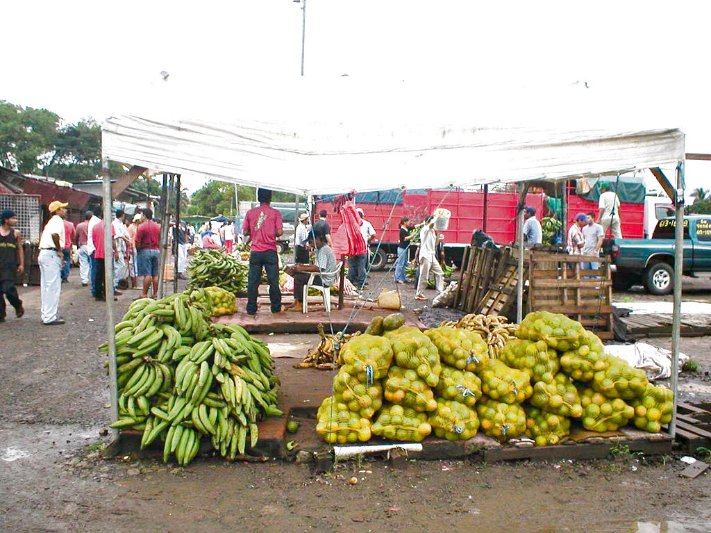 Higiene. Las frutas ya no estarán en el piso.()