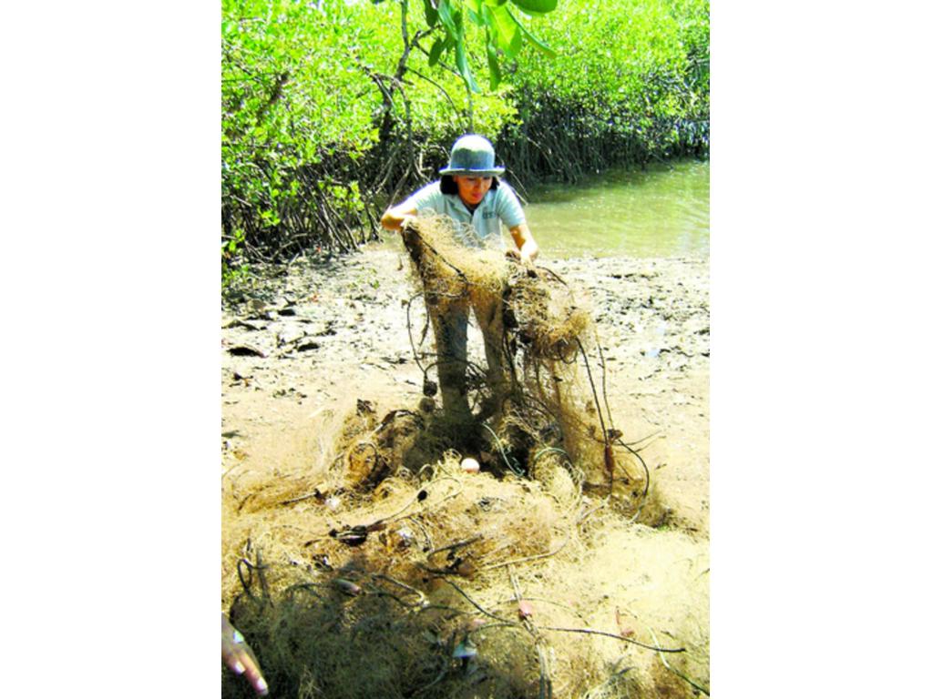 Voluntarios y ambientalistas participaron en la importante actividad.(Miguel Contreras)