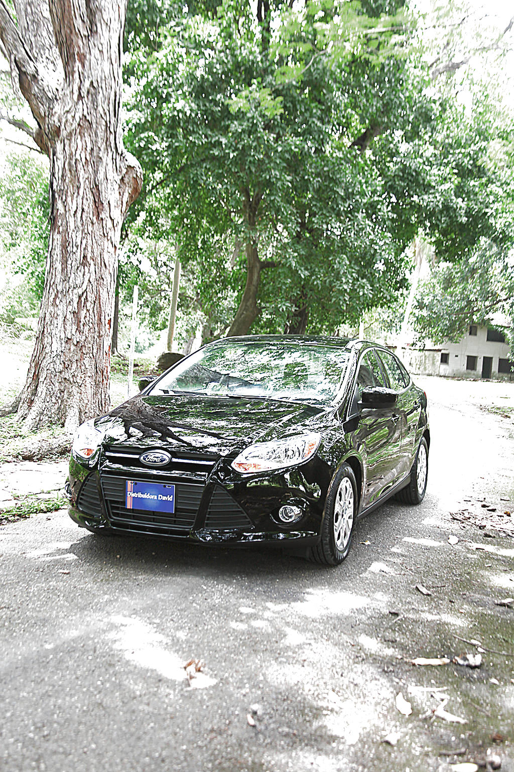 Detalles. El Focus ofrece elementos ecológicos, estrena nuevo motor y transmisión.()