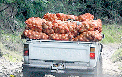<p>Detallan que actualmente deben pagar hasta el doble para que los carros acepten llegar a las fincas a buscar los productos. </p>