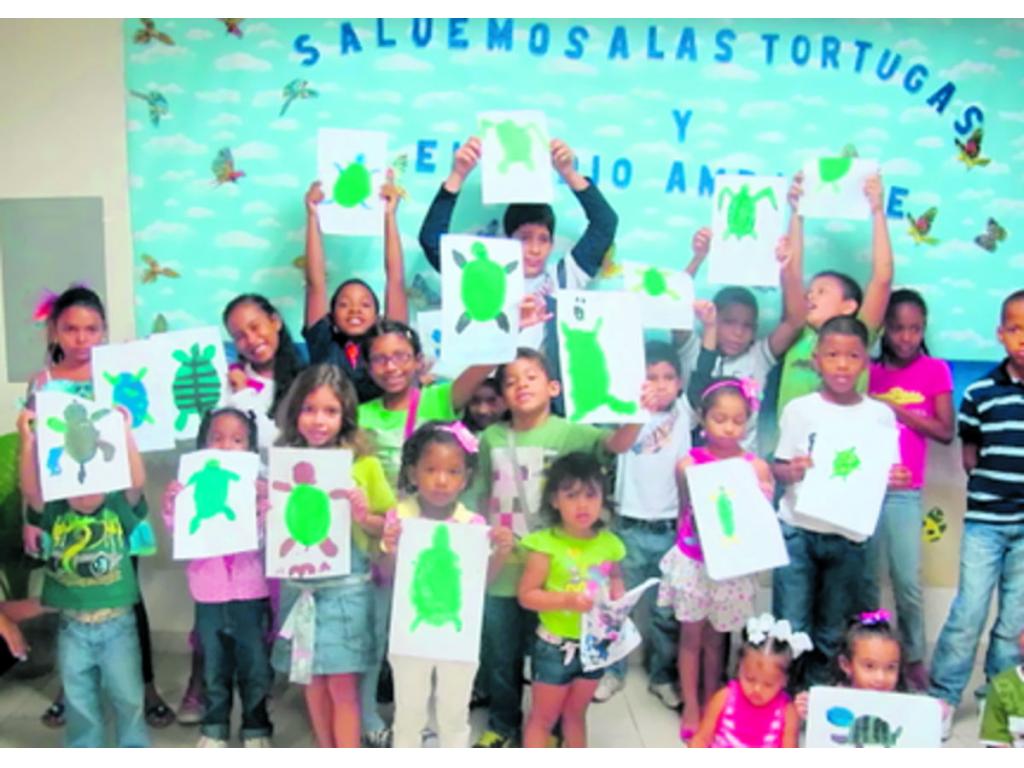 Auténticos dibujos de las especies de tortugas marinas en Panamá.
