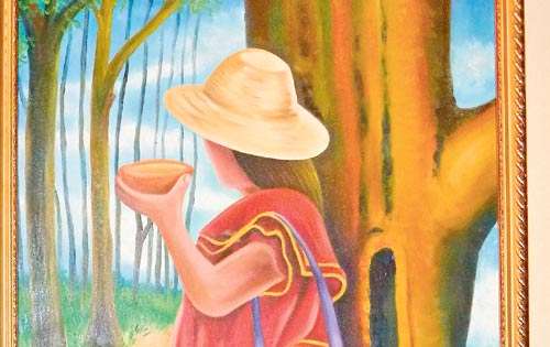 <p>Exalta belleza autóctona.</p>