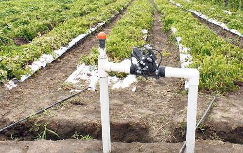 <p>Herramienta. Este método brinda a los productores la seguridad de contar con el vital líquido en toda época.</p>