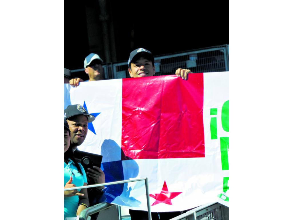 5. La bandera tricolor se veía por todo el estadio.