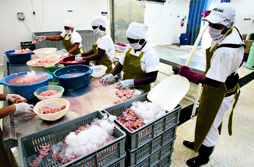 San Andrés. Trabajadores procesan camarones.(EFE)
