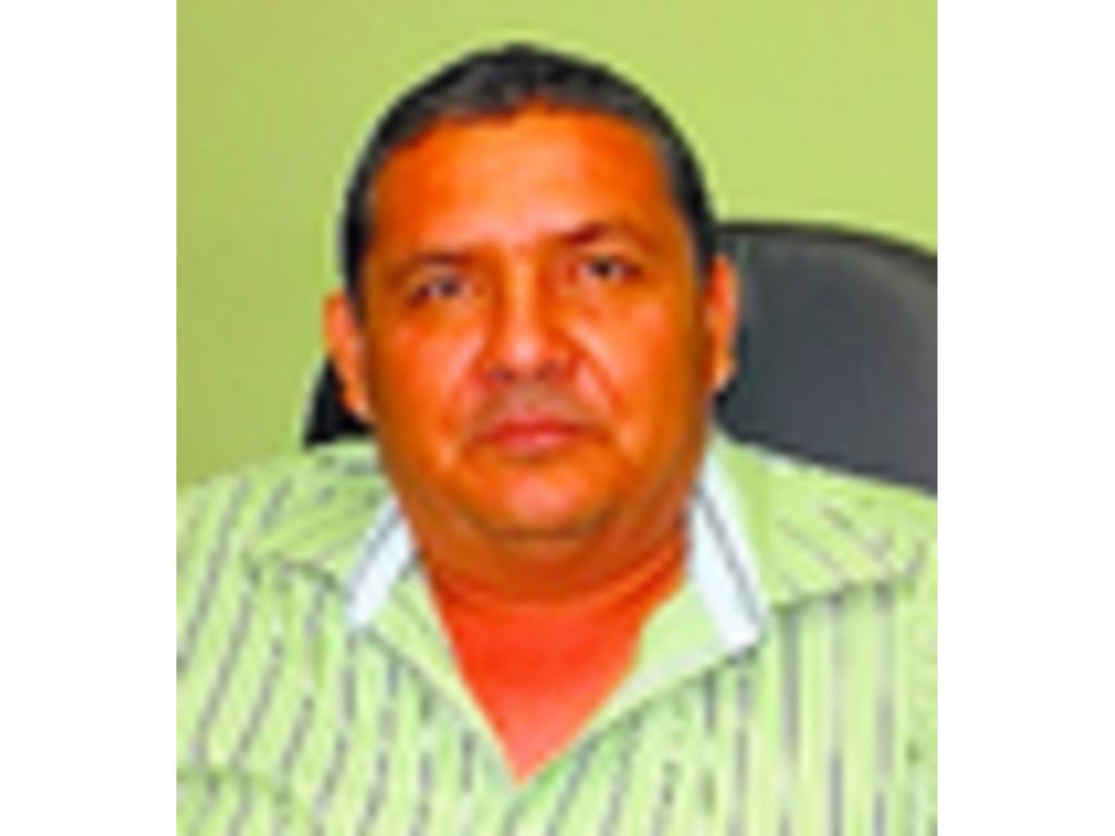 Esta plaga también se da cuando los pastizales están en terrenos bajo la sombra, es decir, cuando hay árboles alrededor de las fincas.