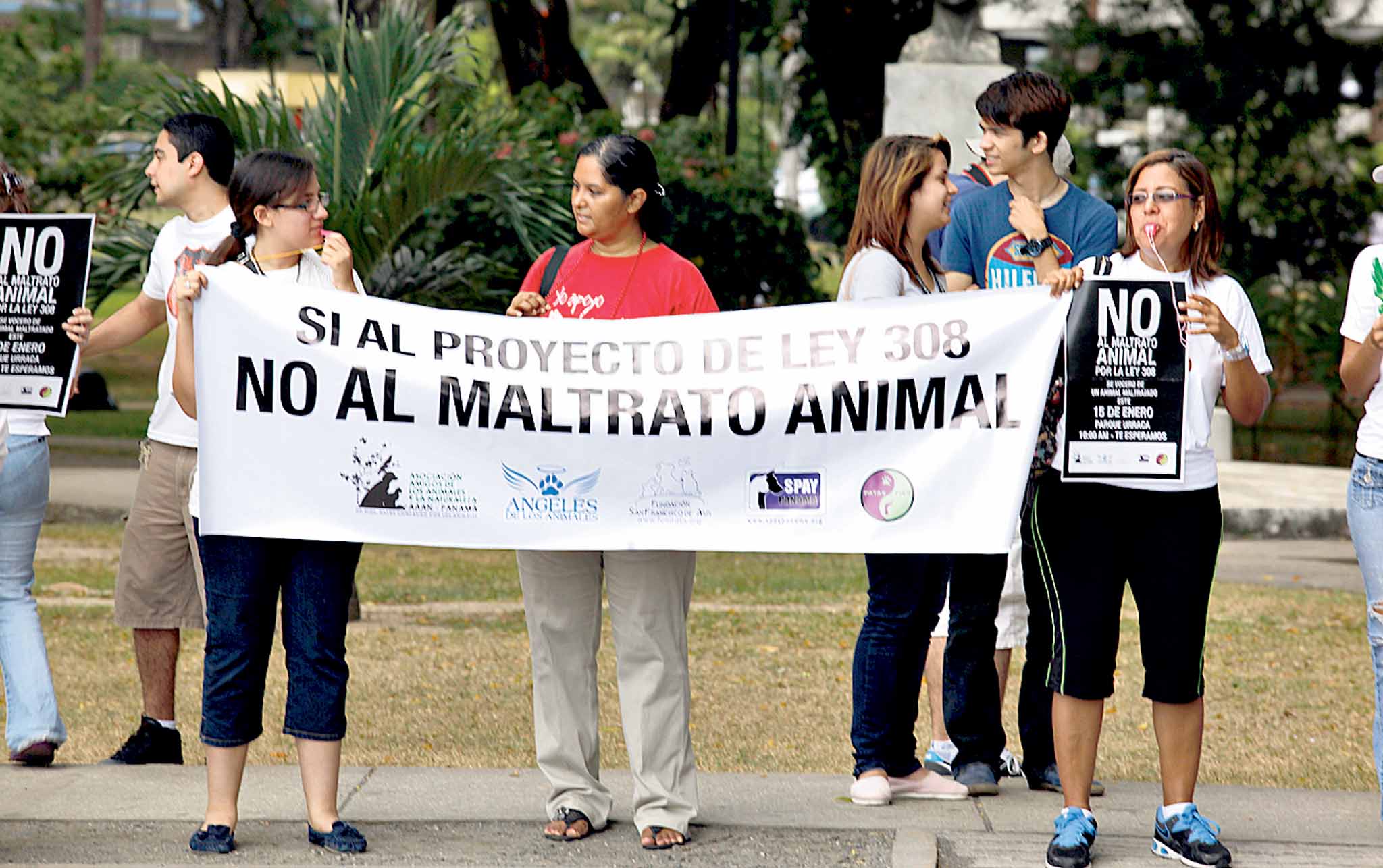 Retoman discusión del proyecto de ley 308 sobre la protección de animales domésticos. Foto/Archivo.<br>