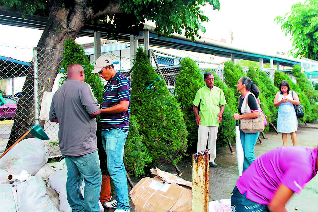 Venta. Se ofrecen a los compradores en calles de David.()