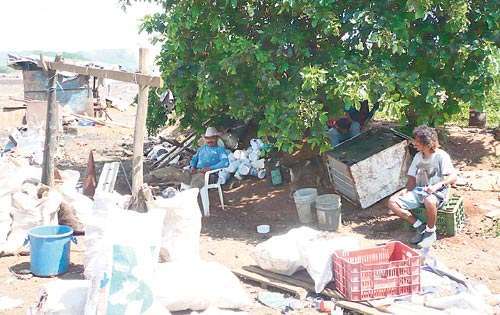 <p>Desechos. 25 toneladas de basura diarias.</p>