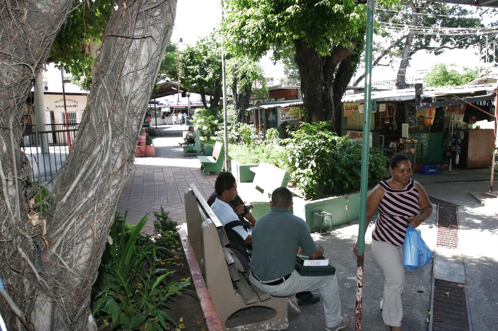 Las cuadrillas del Municipio de Panamá Podaran árboles, liempieza de jardines y fumigación. Foto/Archivo<br>