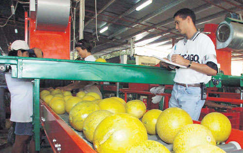 <p>Comercio. Otros productos serán ofrecidos a EE.UU.</p>
