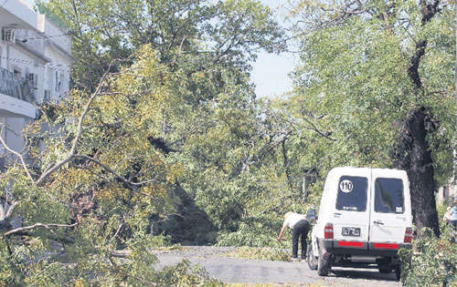 <p>Bloqueo. Algunas vías estaban obstruidas por ramas.</p>