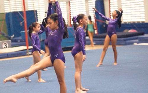 <p>Trabajo. Entrenan a diario.</p>